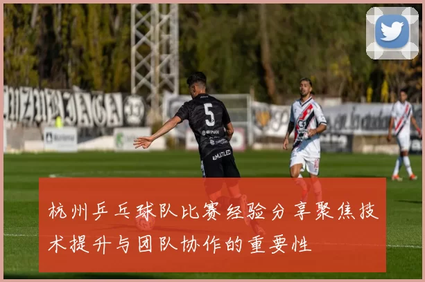 杭州乒乓球队比赛经验分享聚焦技术提升与团队协作的重要性